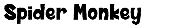 Spider Monkey font preview
